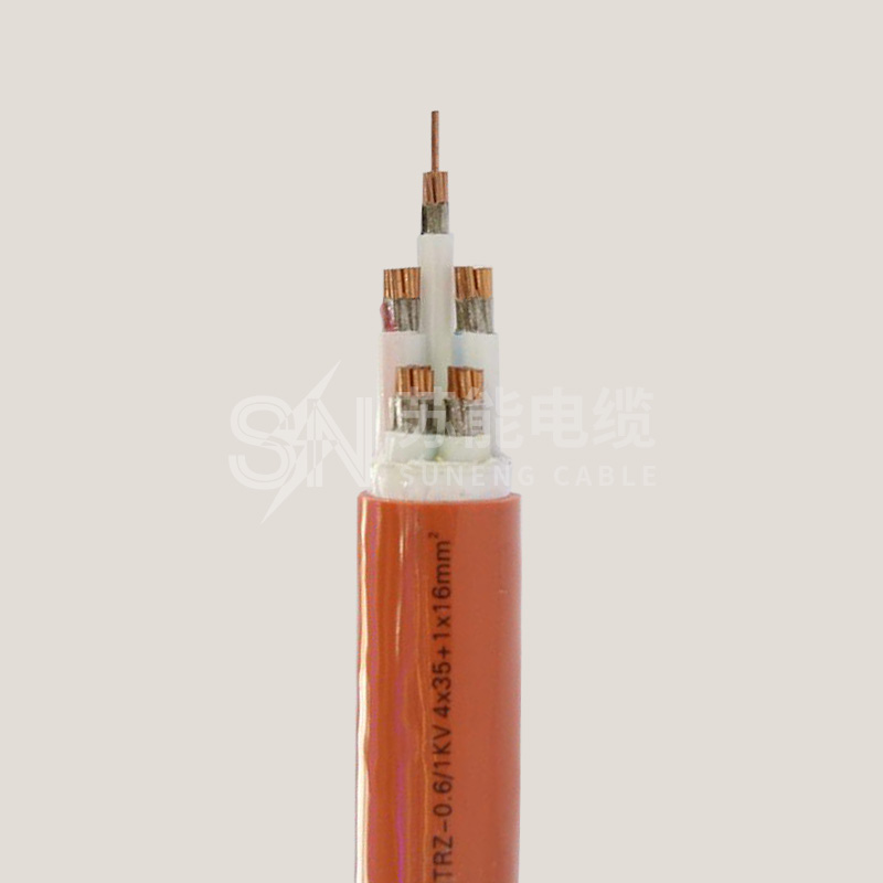 特種電纜 BTTVZ